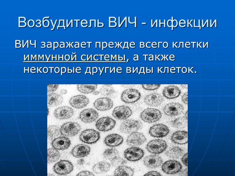 Возбудитель ВИЧ - инфекции ВИЧ заражает прежде всего клетки иммунной системы, а также некоторые Возбудитель ВИЧ - инфекции ВИЧ заражает прежде всего клетки иммунной системы, а также некоторые